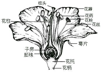 江西教師招聘考試