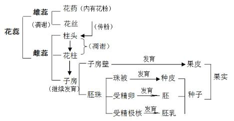 江西教師招聘考試